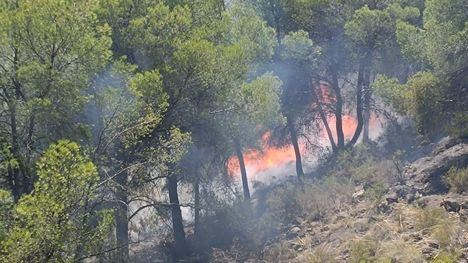 El Ayuntamiento destaca la intervención 'rápida y eficaz' de los servicios de emergencia
