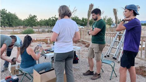 Nuevas actuaciones de voluntariado en los Saladares del Guadalentín