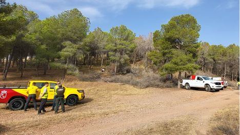 Limitan las actividades en zonas forestales de durante una semana