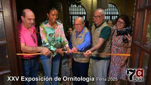Los pájaros anuncian la cercanía de la llegada de los días de Feria