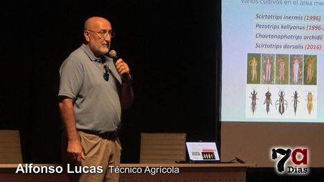 Alfonso Lucas advierte del riesgo para la vid de los scirtotrips y otras plagas futuras