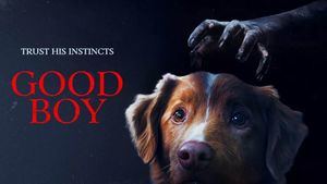 'Good Boy',una película sobre lo que tu perro ve y tú no lo sabes