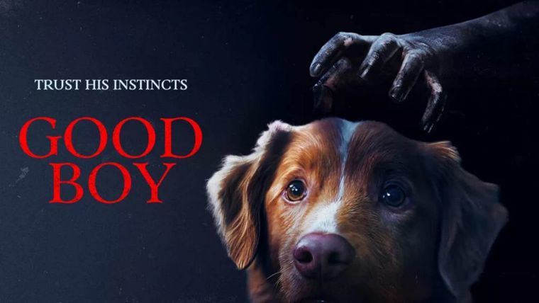 'Good Boy',una película sobre lo que tu perro ve y tú no lo sabes
