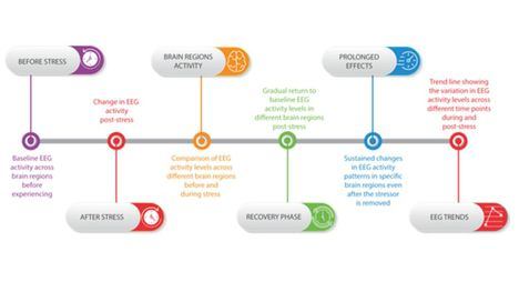 Fundación Primafrio y UMU investigan el estrés y la ansidedad