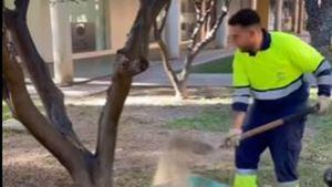 Resiembra y renovación de césped en la Plaza de las Américas