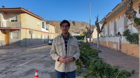 El edil de Parques y Jardines supervisa la poda de moreras