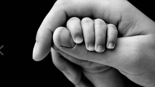 PP denuncia 'la falta de compromiso real con la igualdad de PSOE, IU y Sibina'