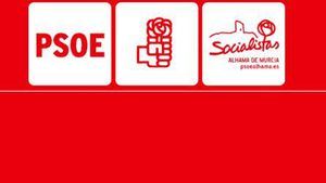 PSOE: "Desmontando a una farsante"