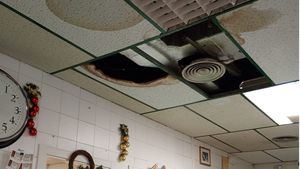 María Cánovas: "Una pequeña reflexión de en qué se pone el foco de la gestión pública"