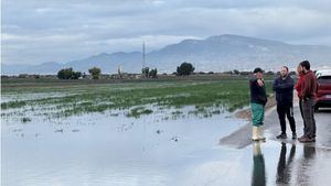 La alcaldesa solicitará la declaración zona afectada por una emergencia