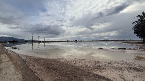 El Ayuntamiento pide al Gobierno de España la declaración de zona afectada gravemente