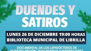 ¿Cómo afecta el cambio climático a las mariposas?