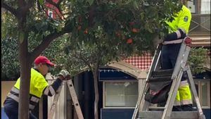 La brigada de los Consejos Comarcales actúa en la Plaza de la Américas
