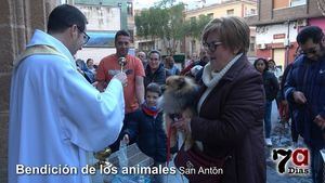 Las mascotas acuden a su cita con San Antón a recibir su bendición