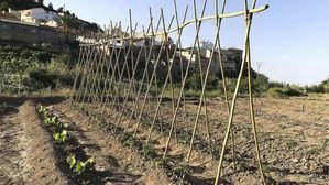 El GAL del Territorio Sierra Espuña, elegido para la III Terralimenta