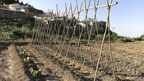 El GAL del Territorio Sierra Espuña, elegido para la III Terralimenta