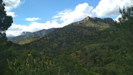 El Consejo de Gobierno declara Sierra Espuña Zona Especial Conservación