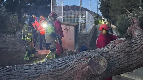 Rosa Sánchez: 'Hemos recibido numerosas incidencias por caída de árboles y ramas'