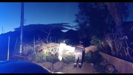 Policía Local de Librilla, con Protección Civil, atiende 14 incidencias por los fuertes vientos