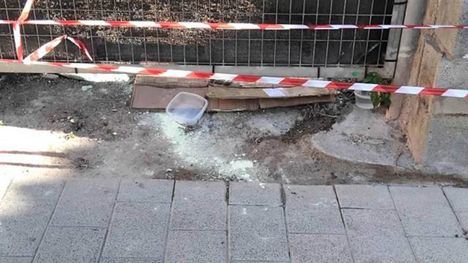 Dori Muñoz: 'Intento de envenenamiento de gatos en Alhama: un delito muy grave'