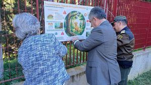 Campaña para proteger a mascotas frente a la procesionaria del pino