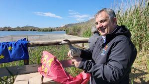 La Consejería libera un centenar de cercetas en Alhama y Mazarrón