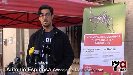 Comienza la campaña contra el mosquito tigre y continuará hasta final de año