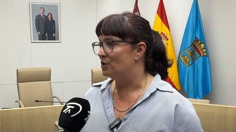 PSOE: 'Un Pleno más tranquilo de lo habitual, pero con asuntos importantes'