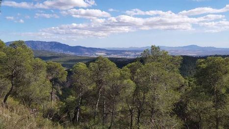 Ecologistas en Acción denuncia a PP y Vox por desproteger parte de Sierra Espuña
