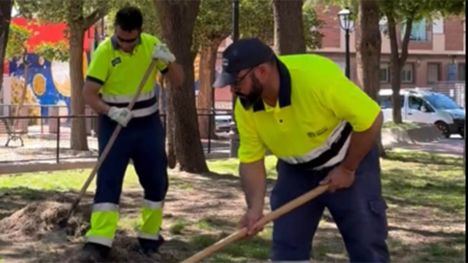 Actuaciones en varios espacios verdes del municipio