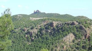 Medio Ambiente inicia una ordenación de recursos naturales que afecta a Alhama