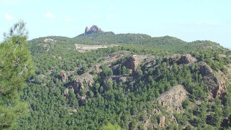 Parque Regional El Valle y Carrascoy