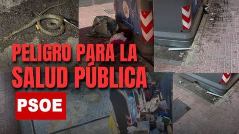 PP: “La dejadez de Rosa Sánchez pone en peligro la salud pública en Alhama”