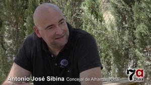 Sibina confiesa que recurrió al PP Regional para solucionar sus problemas con Cánovas
