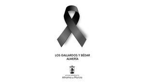 Rosa Sánchez: "Todo el cariño a las familias de las víctimas del fuego en Los Gallardos"