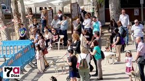 FOTOS Peludines celebra su primera Feria de las Adopciones