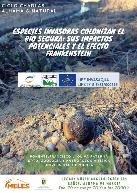 Especies invasoras están colonizando la cuenca del río Segura