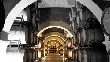 Bodegas Luzón reducirá un 10% su consumo de agua y electricidad