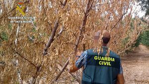 Detenido el supuesto autor de siete incendios en un paraje de Cieza