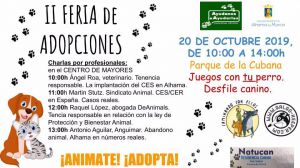 La cita ineludible del domingo: la II Feria de Adopciones