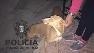 La Policía Local rescata a dos perros de "su verdugo"