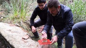 Liberan 15 ejemplares de sapo partero bético en Sierra Espuña
