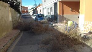 FOT. El viento ocasiona varios desperfectos este fin de semana