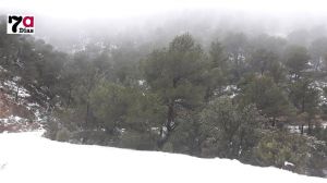 La nieve en Sierra Espuña ya alcanza entre 10 y 15 centímetros