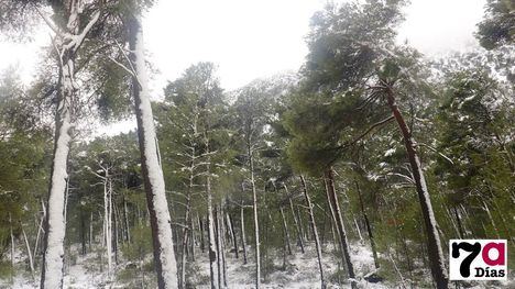 VÍDEO/FOTOS El efecto hipnótico de la nieve en Sierra Espuña