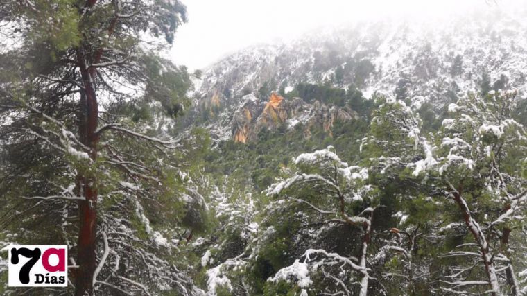 La borrasca Gloria deja en Alhama 40,8 litros/m2 en 24 horas