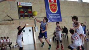 Los aceituneros del CB alhama ganan al CB Monteagudo (79-55)