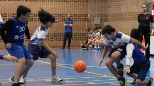 Cal y arena para los aceituneros del CB Alhama