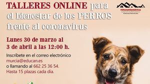 Ayuda a tu perro a sobrellevar el confinamiento en casa