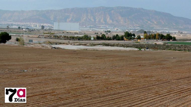 Entrepeñas y Buendía almacenan el doble de agua que hace un año